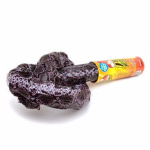 Load image into Gallery viewer, Snake In A Can